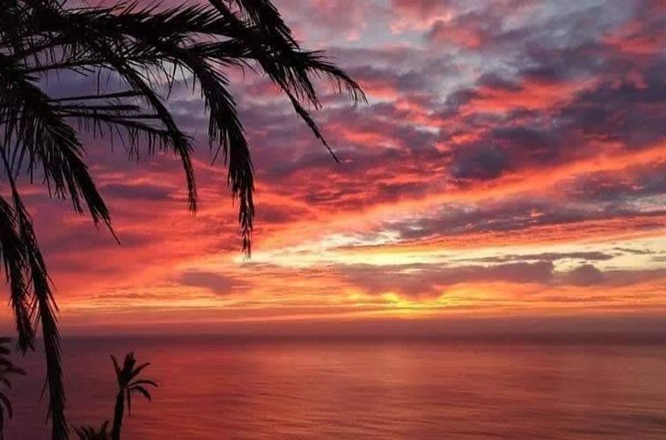 Bungalow in Torrevieja