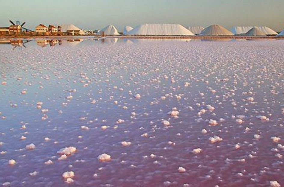 Villa in Torre de la Horadada