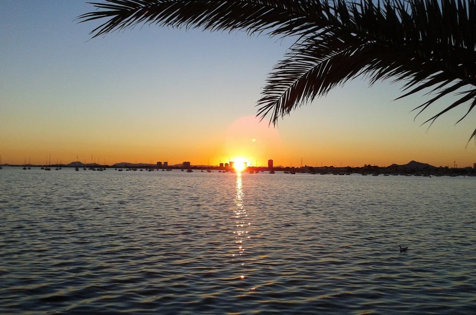 Villa in Torre de la Horadada