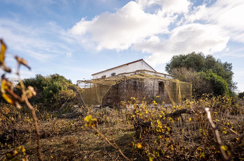 Finca in Manilva