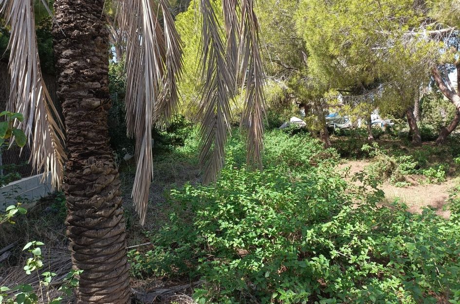 Perceel in Cabo Roig