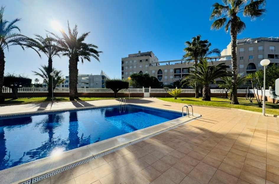 Penthouse in Lomas de Polo-Pinomar