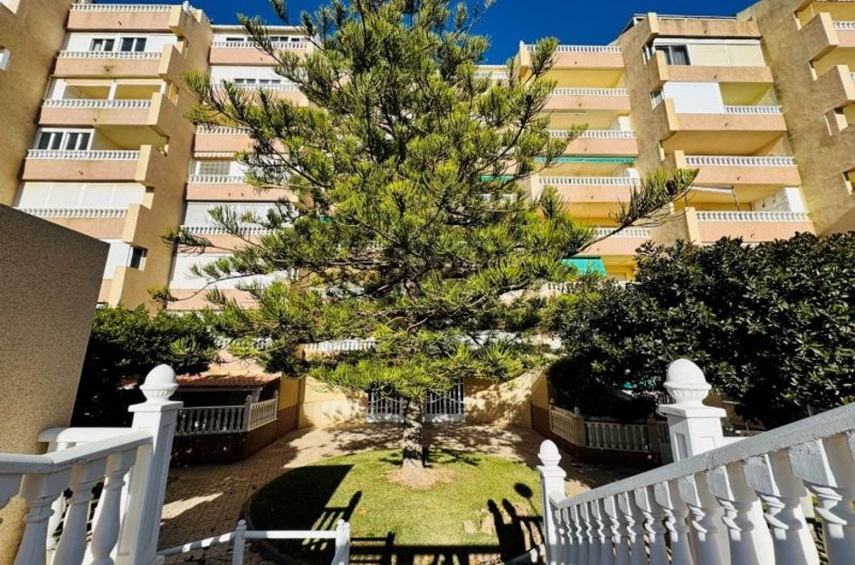 Penthouse in Lomas de Polo-Pinomar