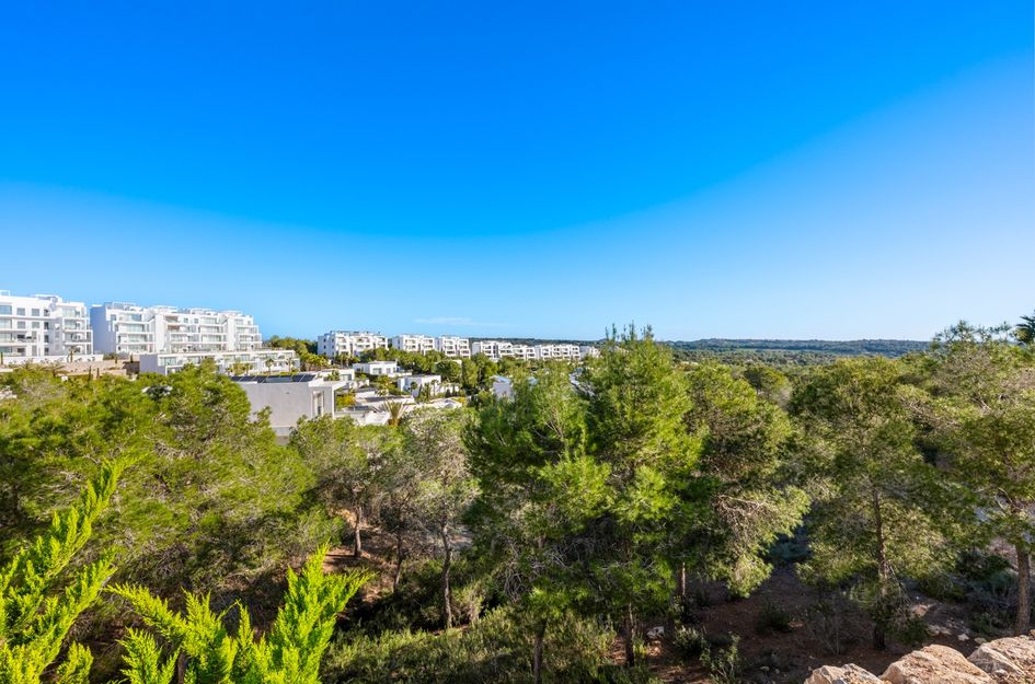 Penthouse in Pinar de Campoverde