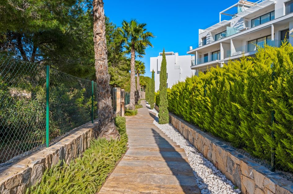 Penthouse in Pinar de Campoverde