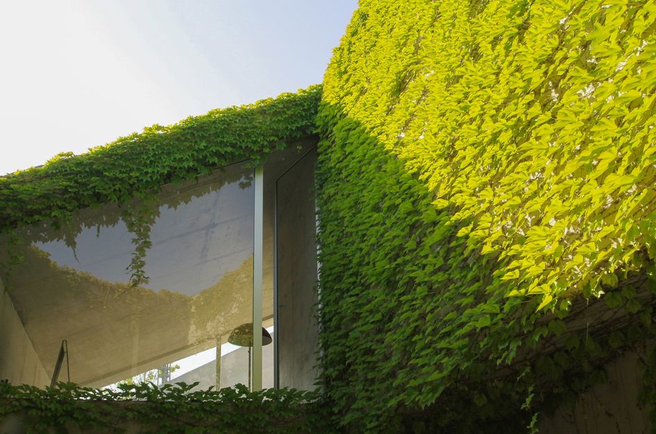 Villa in Los Girasoles