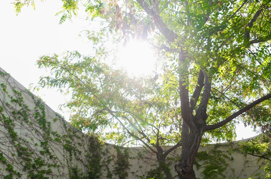 Villa in Los Girasoles