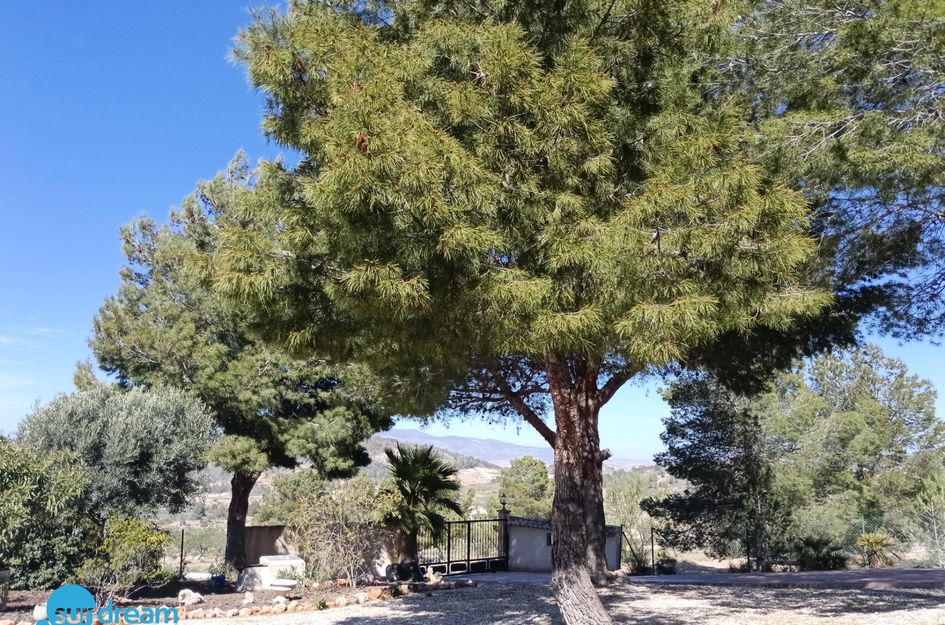 Villa in Las Casicas de Peña Zafra