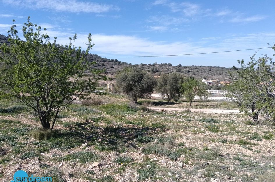 Villa in Las Casicas de Peña Zafra