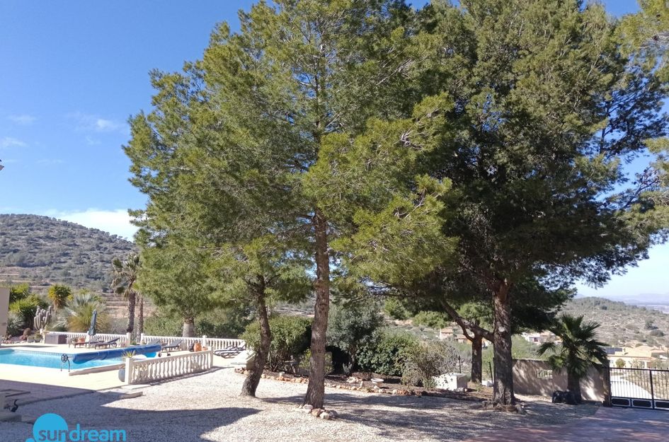 Villa in Las Casicas de Peña Zafra