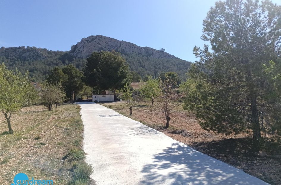 Villa in Las Casicas de Peña Zafra