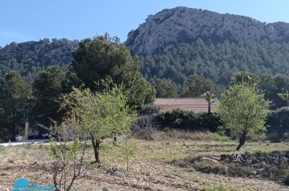 Villa in Las Casicas de Peña Zafra