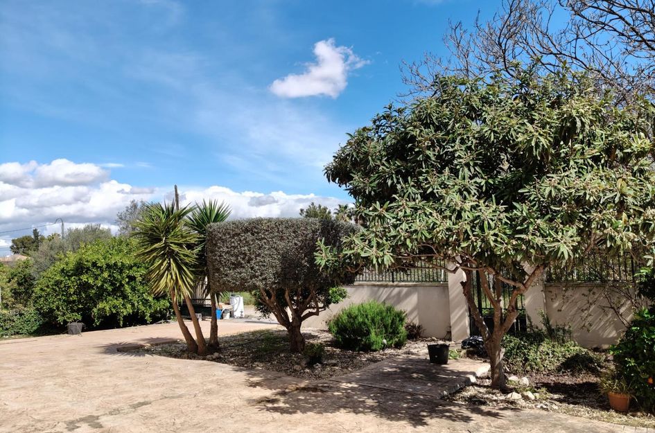 Finca in El Palmar