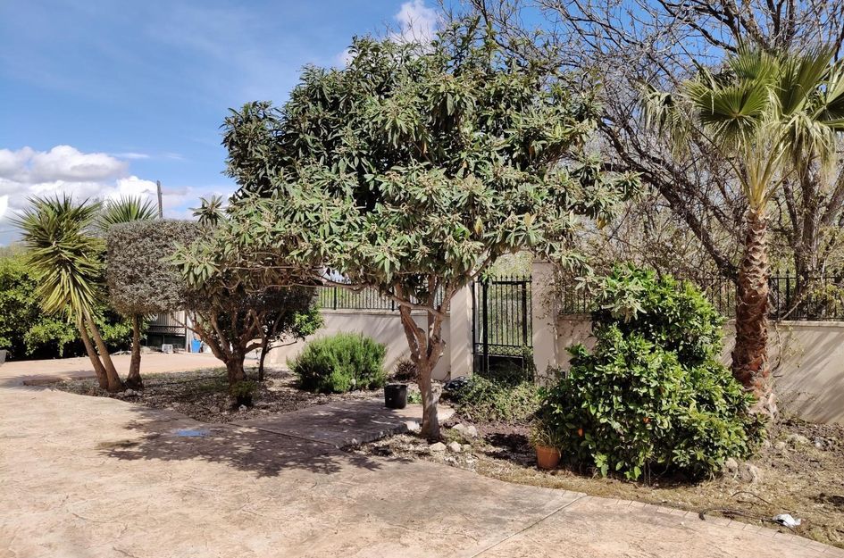 Finca in El Palmar