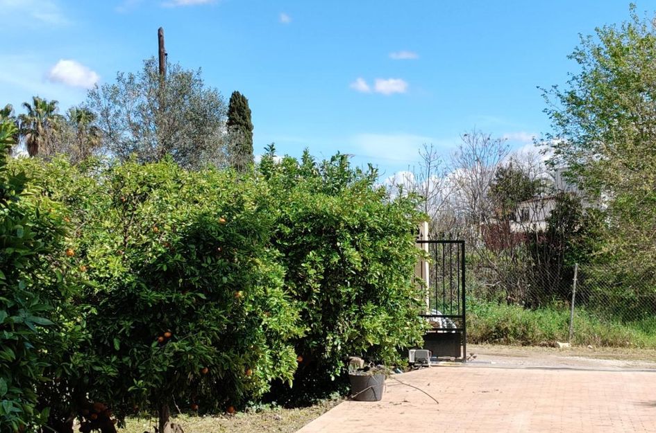Finca in El Palmar