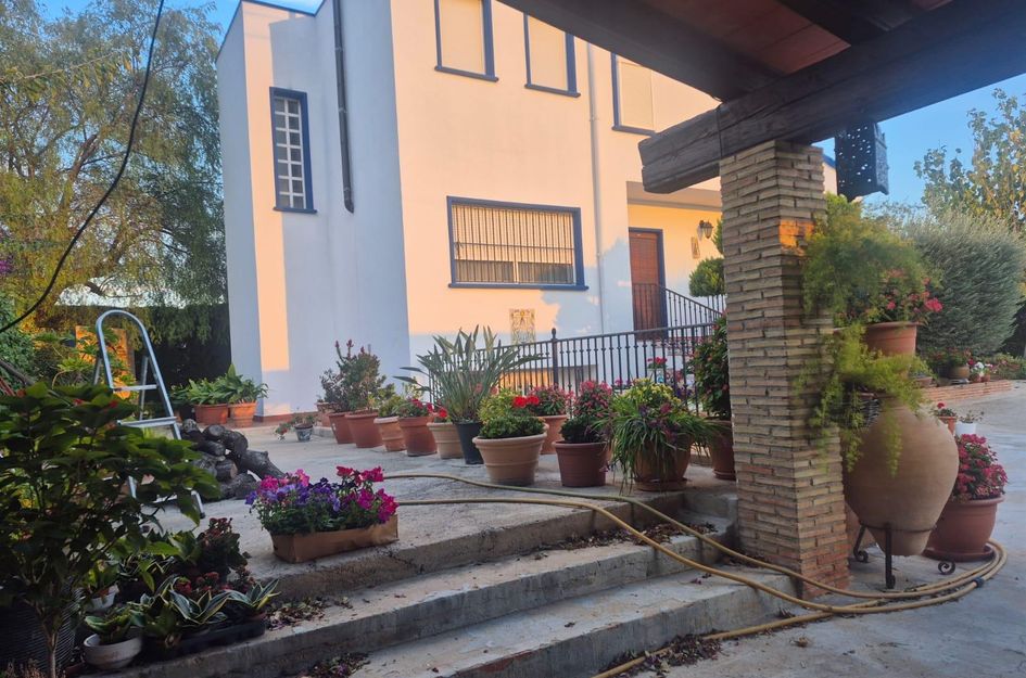 Finca in Orihuela