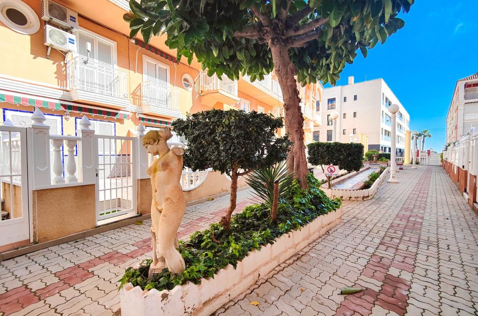 Penthouse in Torrevieja