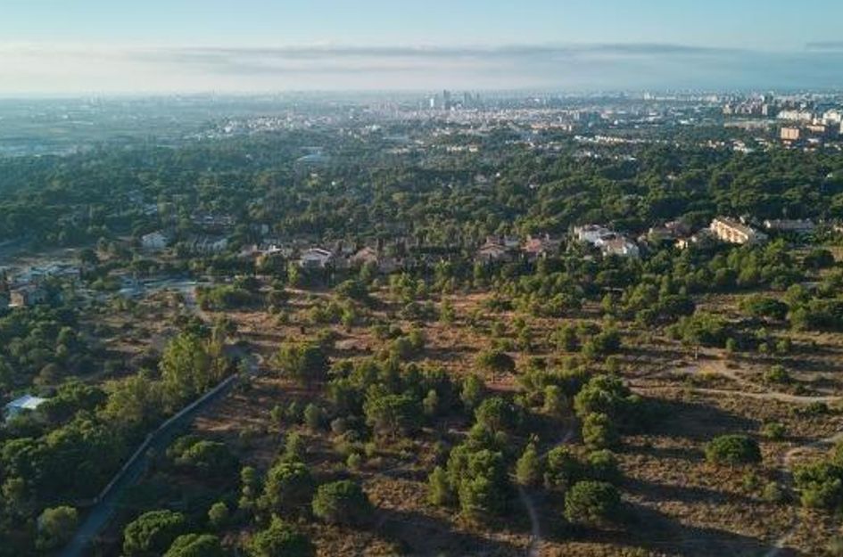Appartement in Campolivar