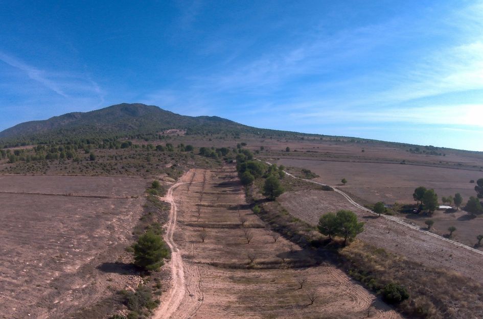 Perceel in La Quintanilla