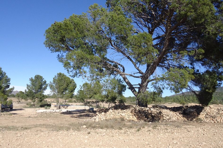 Perceel in La Quintanilla