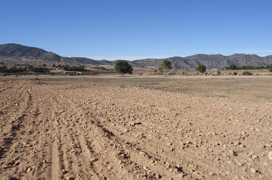 Perceel in La Quintanilla