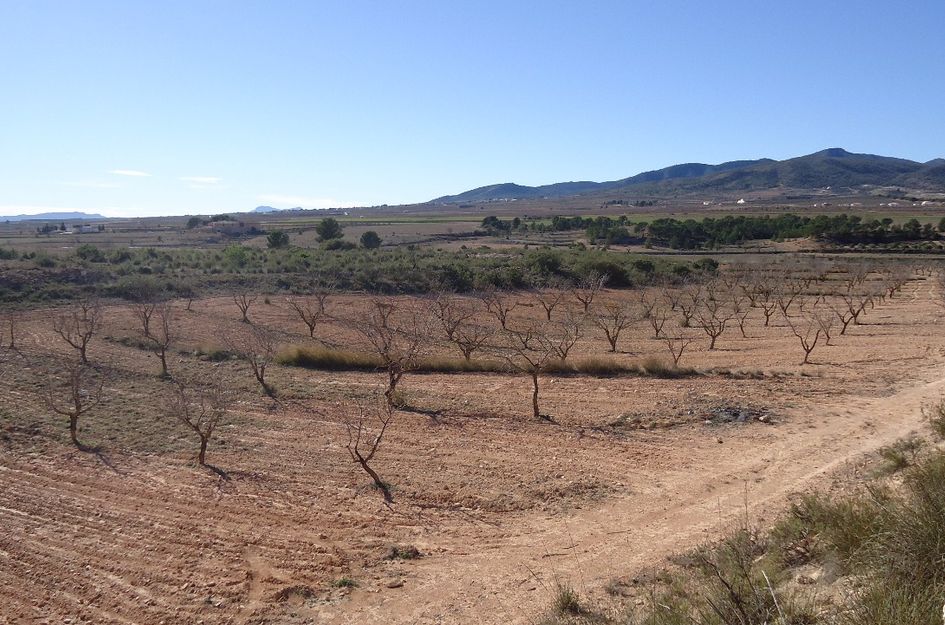 Perceel in La Quintanilla