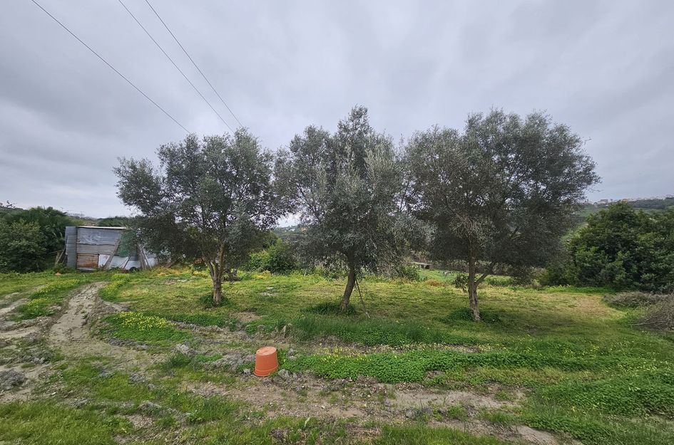 Bungalow in Manilva