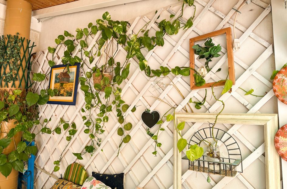 Appartement in Torrevieja