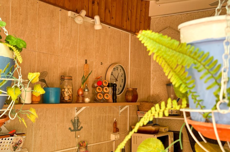 Appartement in Torrevieja