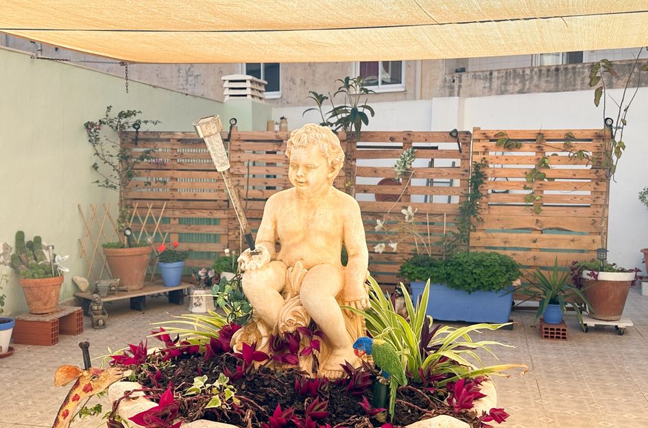 Appartement in Torrevieja