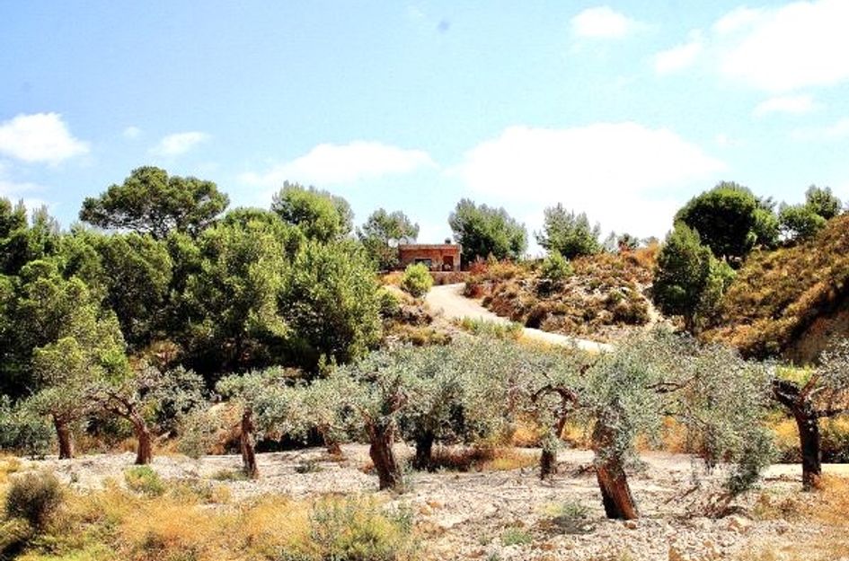 Villa in Cañadas de San Pedro