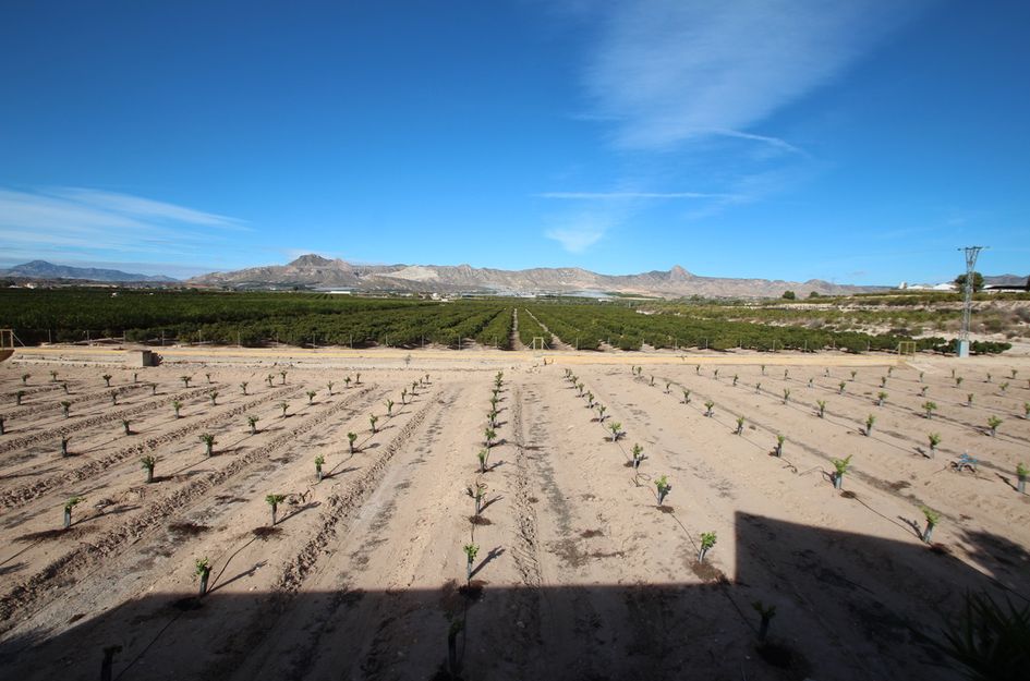 Finca in Cañadas de San Pedro