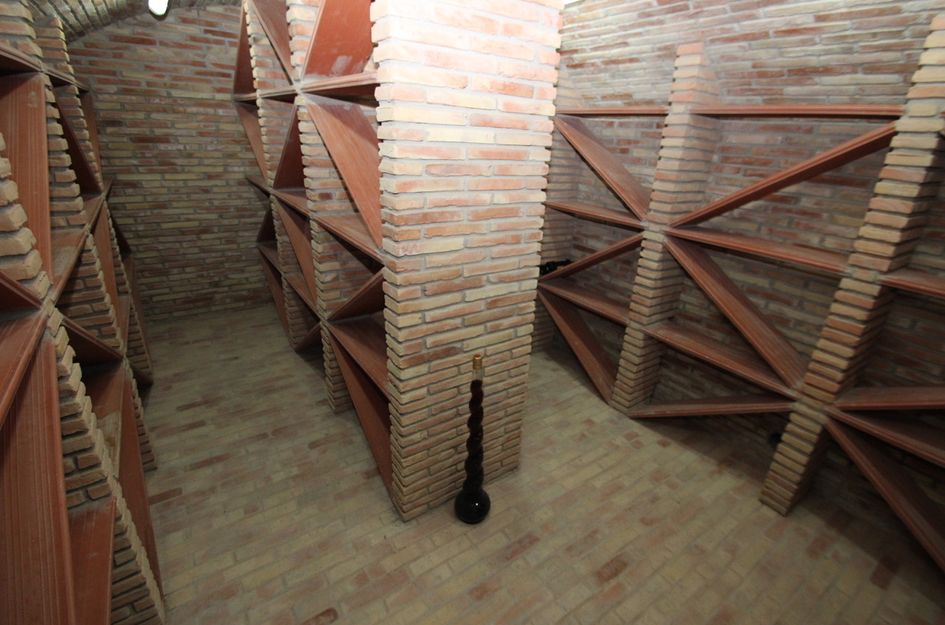Finca in Cañadas de San Pedro