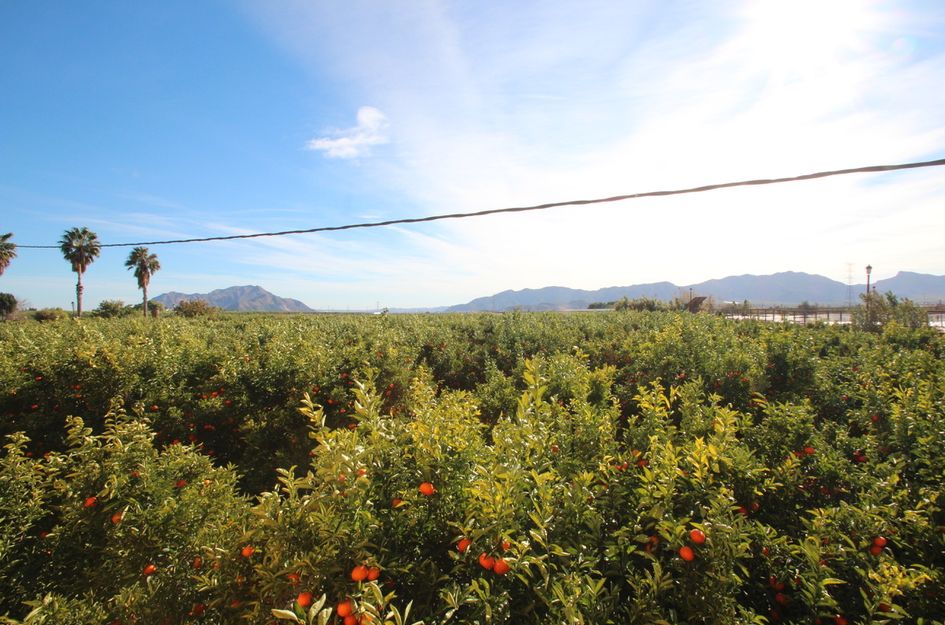 Finca in Cañadas de San Pedro