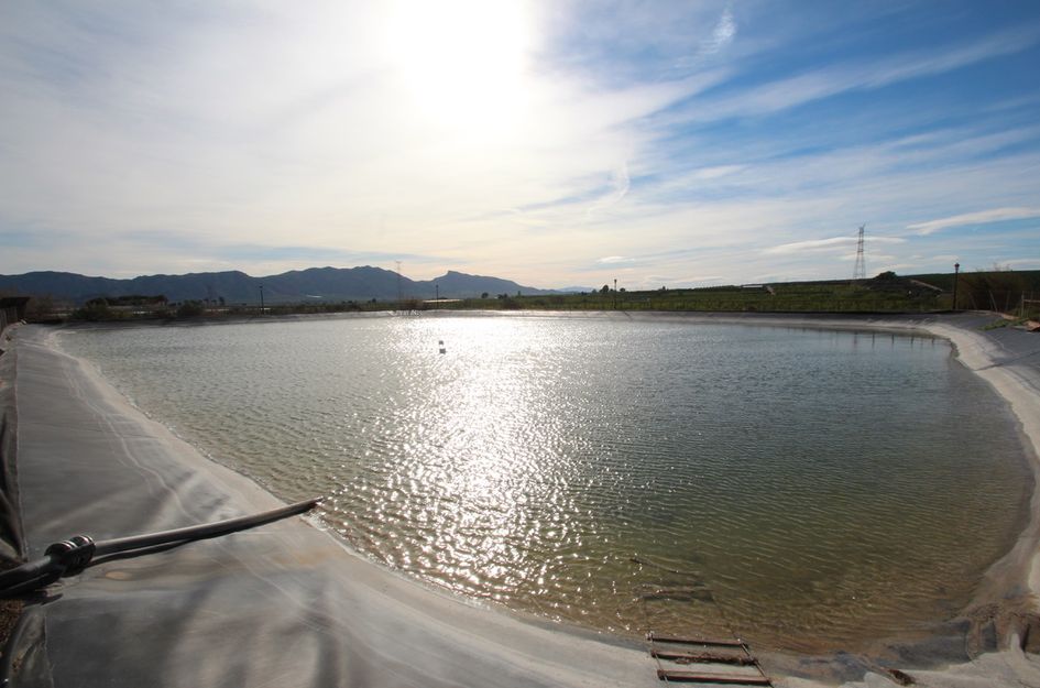 Finca in Cañadas de San Pedro