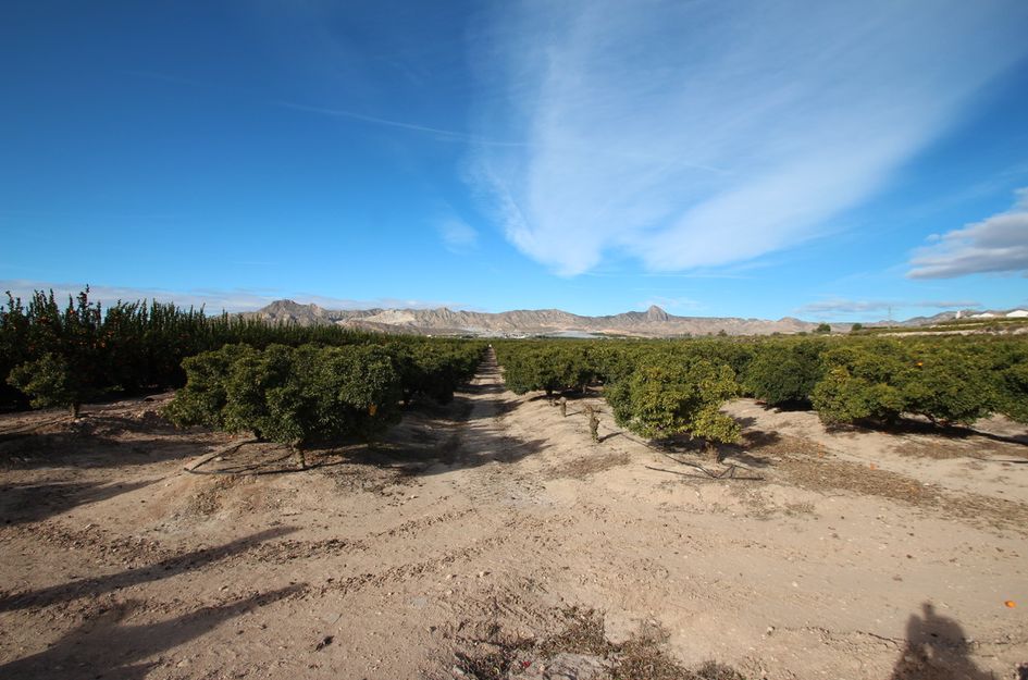 Finca in Cañadas de San Pedro