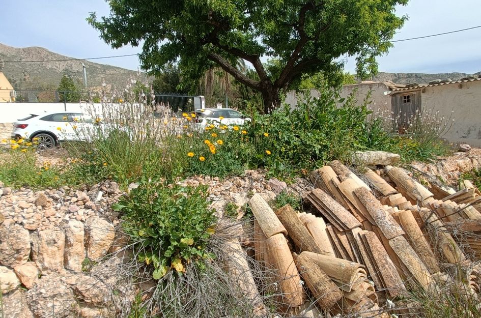 Villa in Algayat