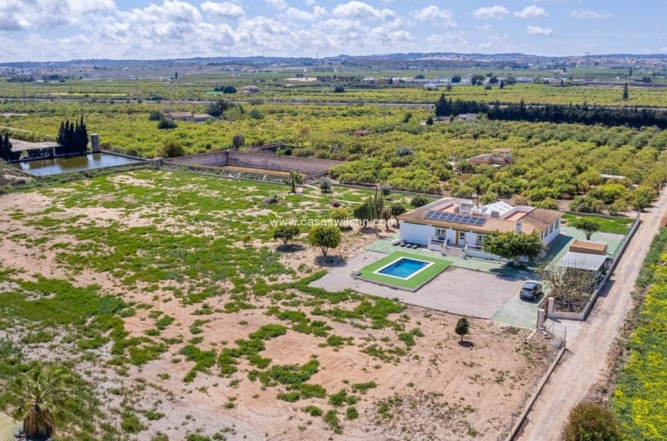 Villa in San Miguel de Salinas