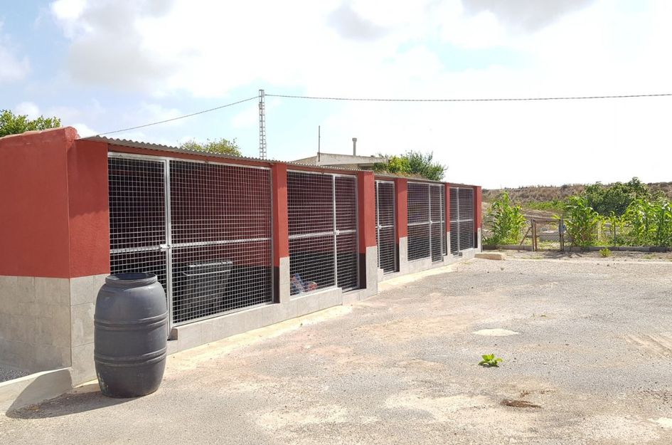 Finca in La Herrada