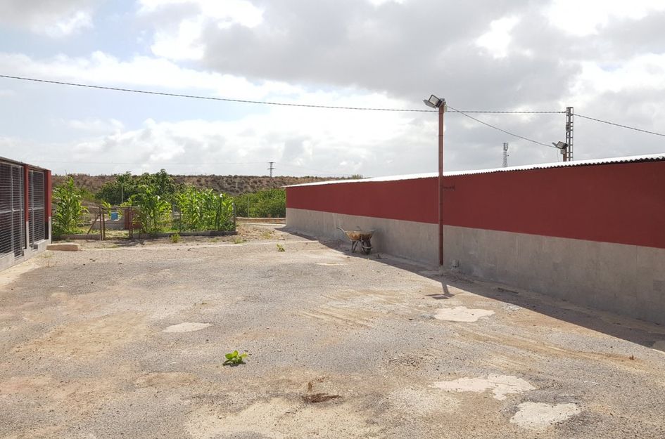 Finca in La Herrada
