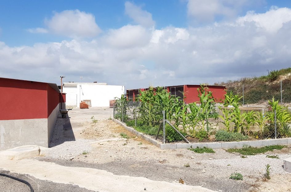 Finca in La Herrada