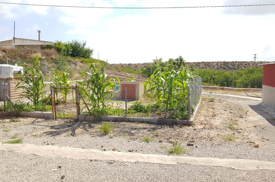 Finca in La Herrada