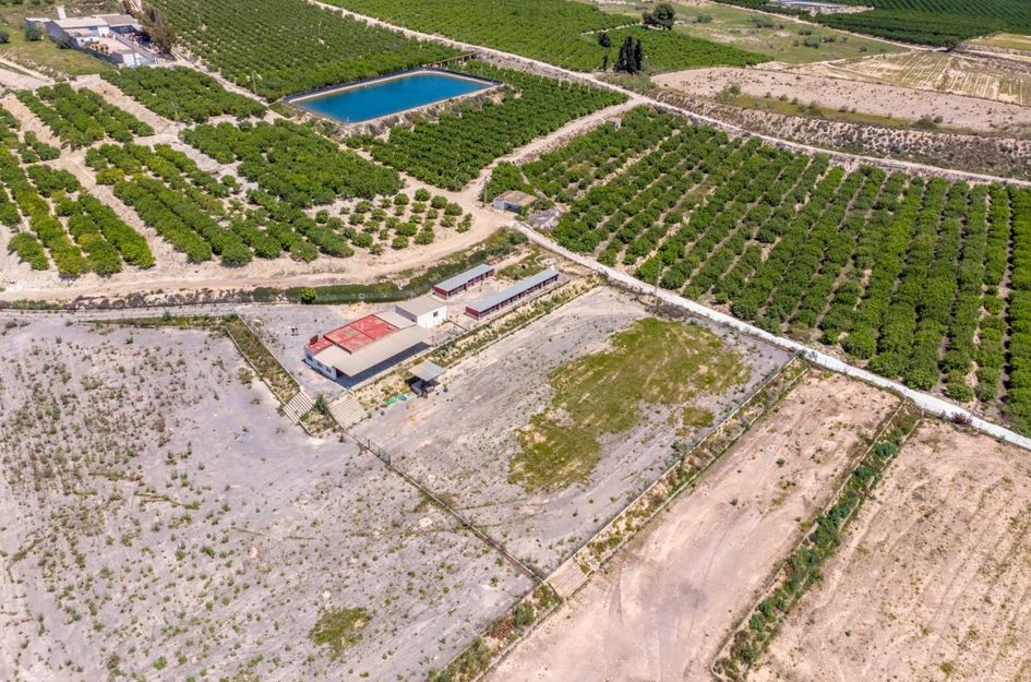 Finca in La Herrada