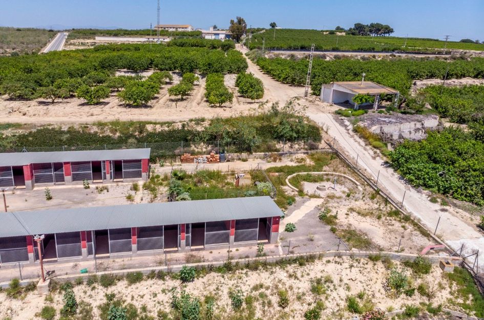 Finca in La Herrada