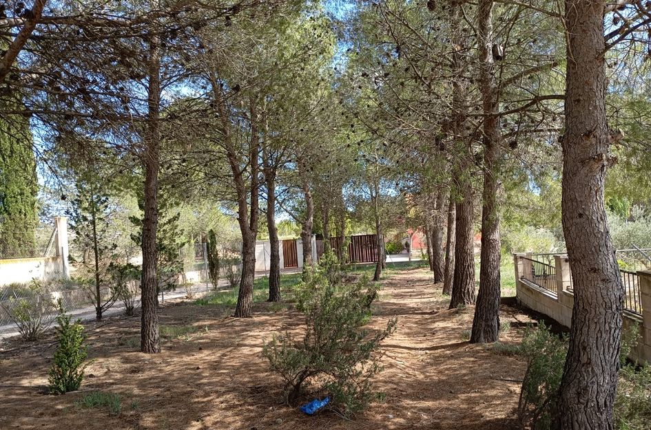 Villa in Yecla