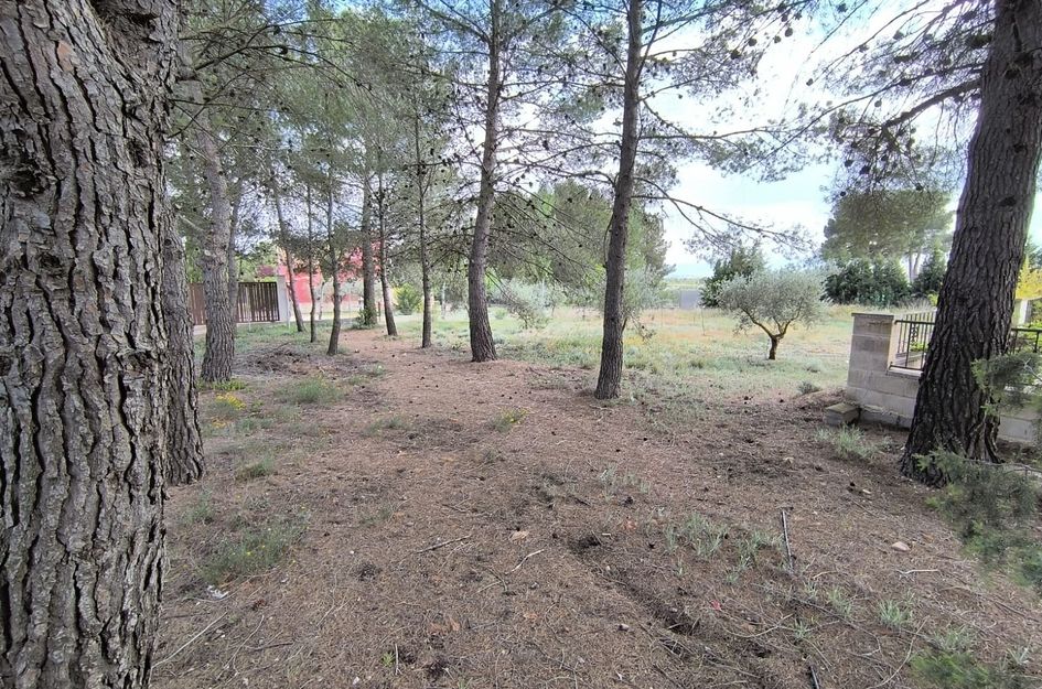 Villa in Yecla