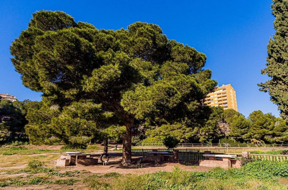 Duplex in Dehesa de Campoamor