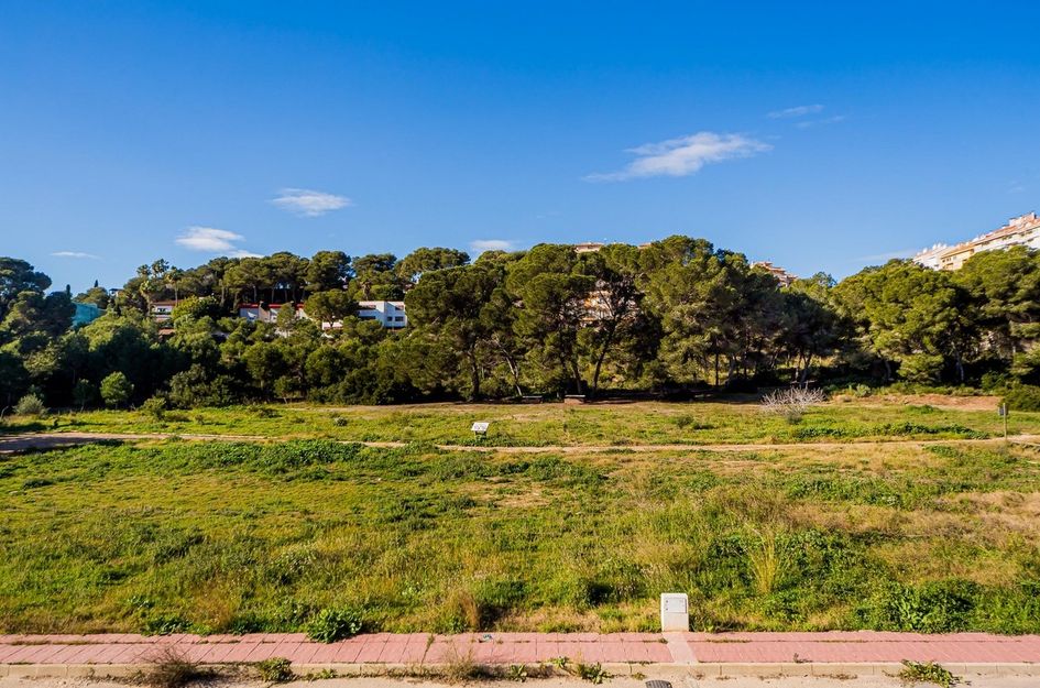 Duplex in Dehesa de Campoamor