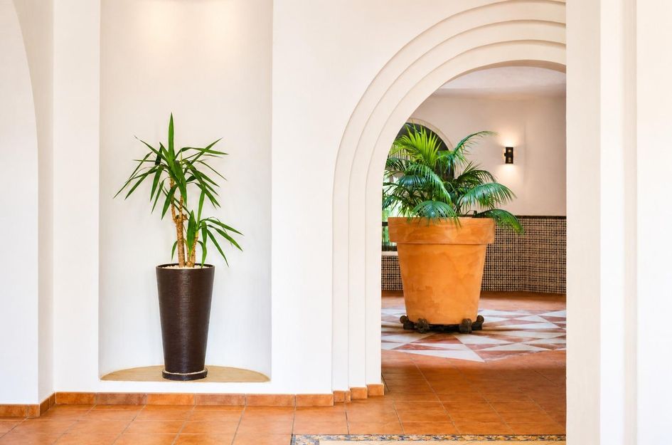 Appartement in Torrevieja