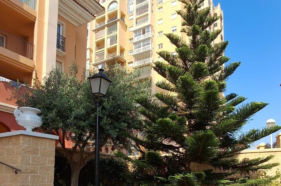 Appartement in Torrevieja